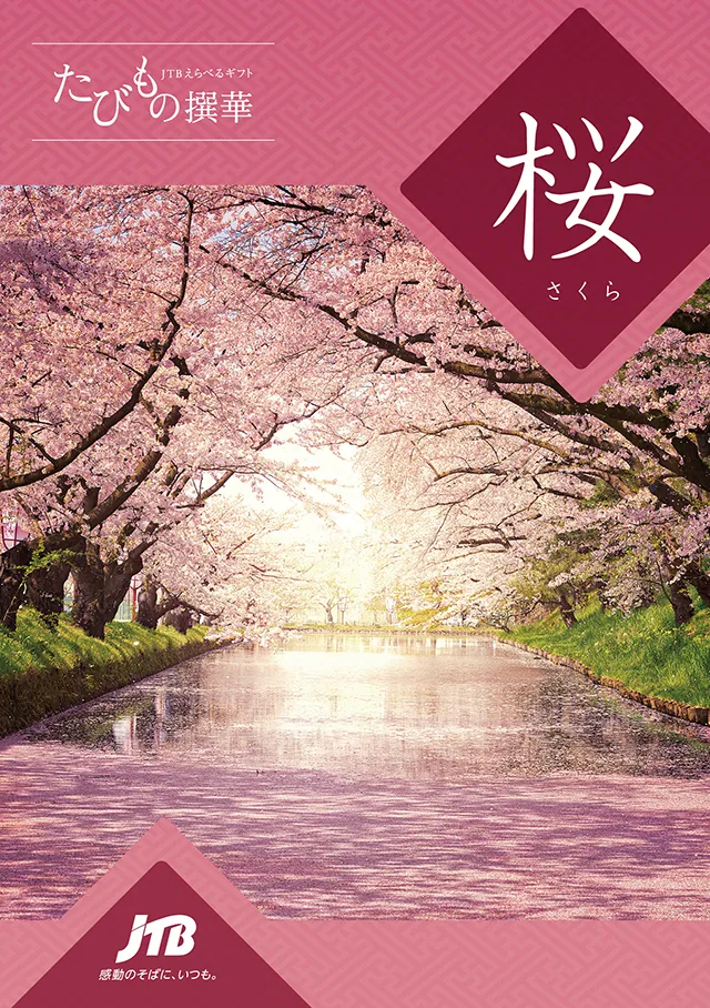 たびもの撰華桜（さくら）