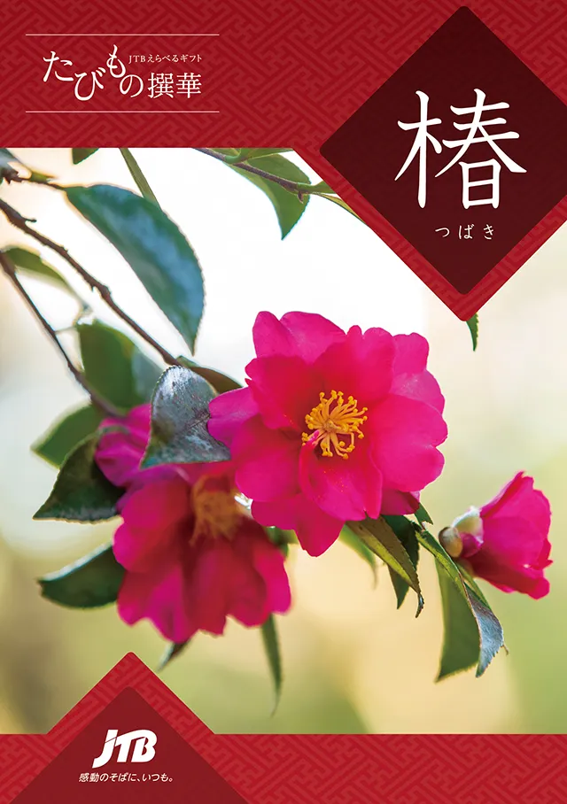 たびもの撰華椿（つばき）